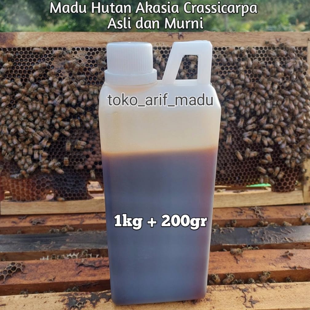 

(Terbaru) Madu Hutan Acasia Crassicarpa 1kg + 200gram (Madu Asli & Murni Akasia Carva) (Terlaris)