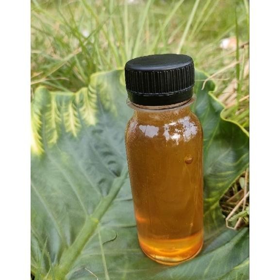 

(Terbaru) madu murni multiflora asli 150 gr KEMASAN EKONOMIS (Terlaris)