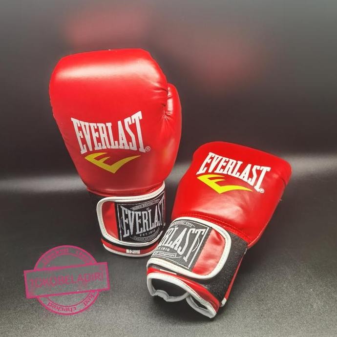 Everlast Boxing Gloves sarung tinju