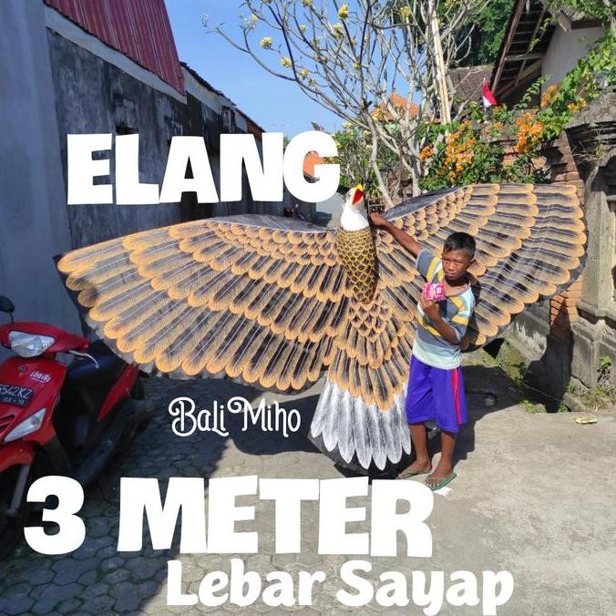 yang dicari@@@@] LAYANGAN BURUNG ELANG/LAYANGAN BURUNG JUMBO/LAYANG LAYANG