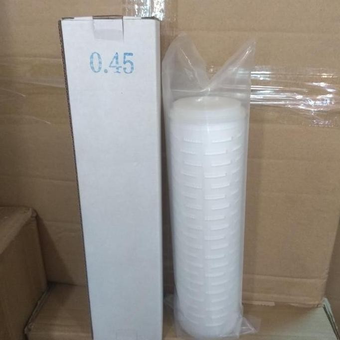 TERLARIS Filter pleated 0.45 mikron 10 inci