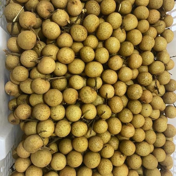 

Buah Lengkeng Gold Thailand Fresh 1 kranjang KS