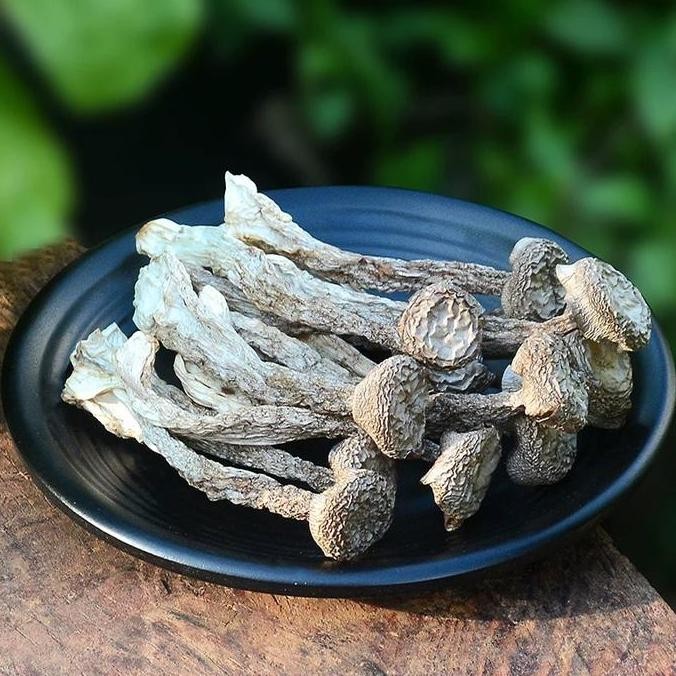 

Mushroom Jamur Velvet Lu Rong Gu Jamur Tanduk Rusa