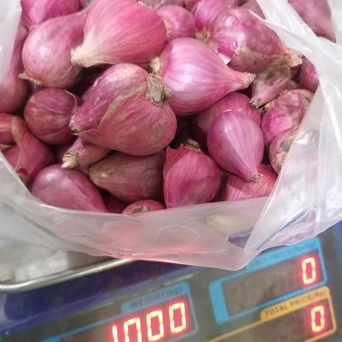 

JH8 BAWANG MERAH BREBES BESAR