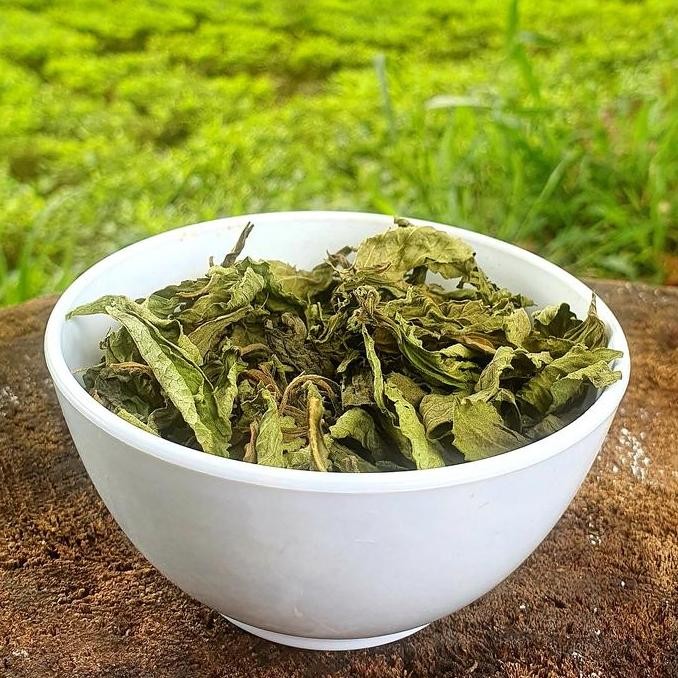 

JH8 Daun Stevia Kering Organik Gula alami 0 Kalori Bebas gula