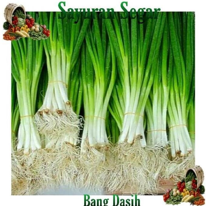 

JH8 Daun bawang segar 500gr