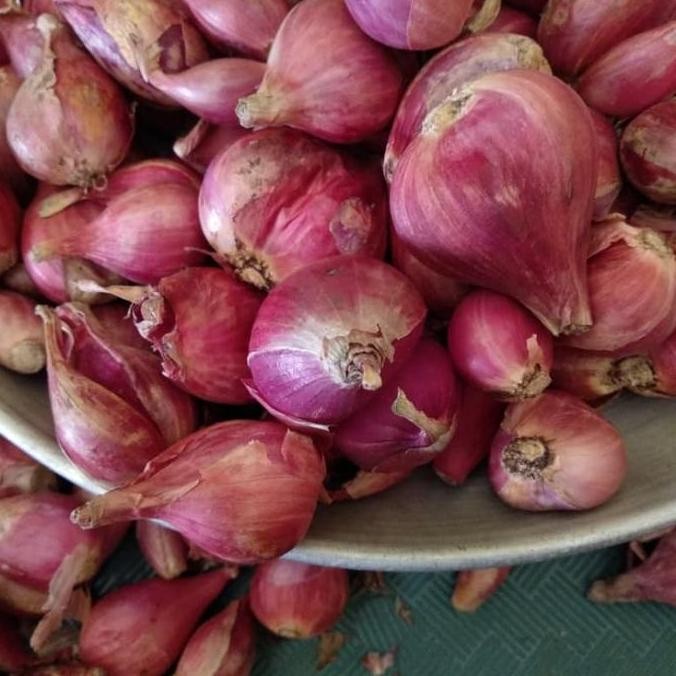 

JH8 bawang merah Brebes pilihan size besar