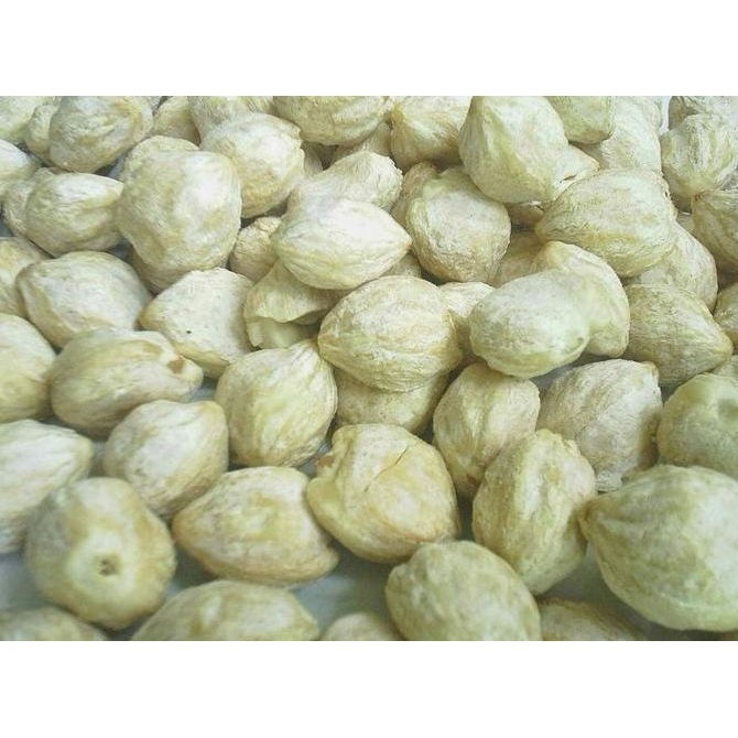 

JH8 Kemiri bulat 1 kilogram