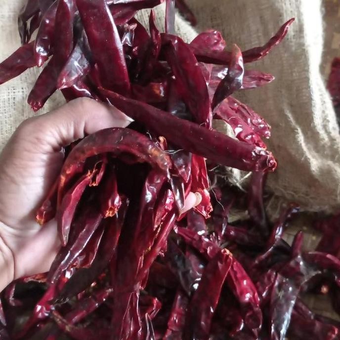

JH8 1kg CABE MERAH BESAR CABE INDIA INPOR TANPA TANGKAI Alami Kering