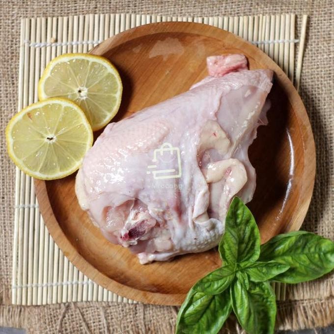 

JH8 DADA UTUH / AYAM POTONG BERKUALITAS HALAL DAN MURAH