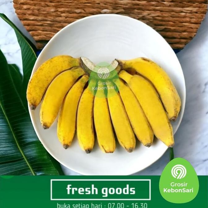 

JH8 pisang raja rojo (PO H+1)