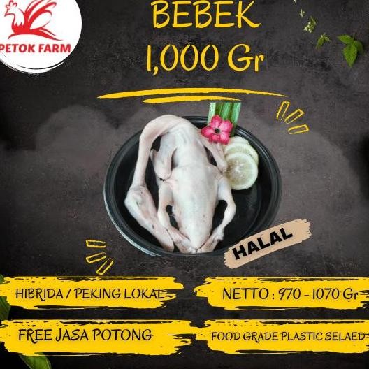 

JH8 Bebek Hibrida 1000 gr