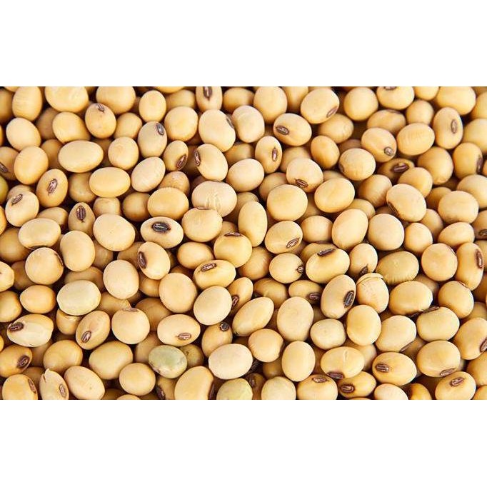 

KACANG KEDELAI IMPORT USA 1 KG