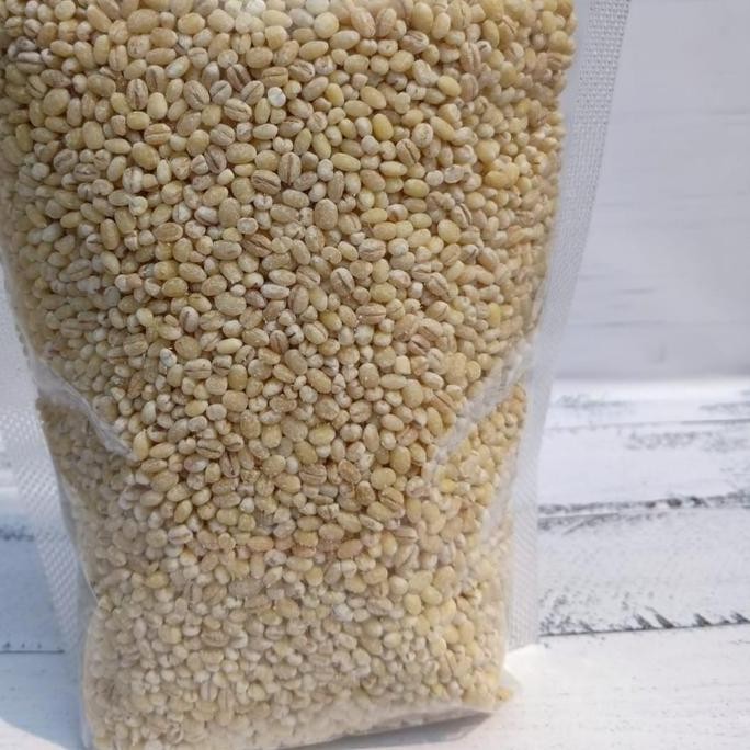 

ID | BARLEY / BIJI JALI-JALI PRODUCT OF HOLLAND - 1KG