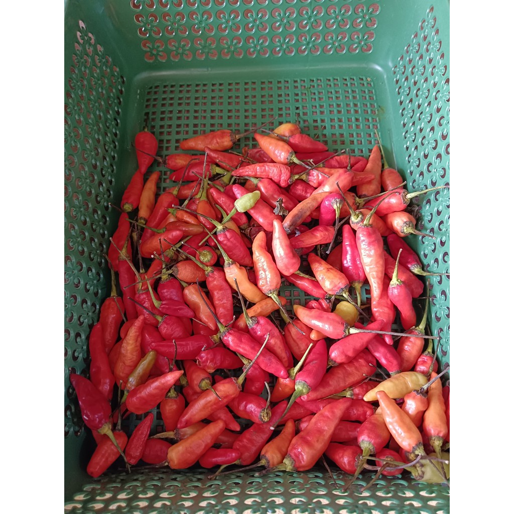 

Cabe Rawit Merah 250 gr