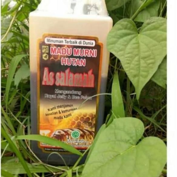 

NEW Madu Murni Hutan Assalamah Madu Hutan As salamah 1 kg READY