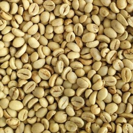 

Biji Kopi Robusta Poles/Selep (After Polish) Wbb (Grade 1 Biji Besar)