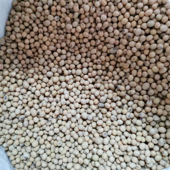 

ID | KACANG KEDELAI AMERIKA SUPER BERSIH 1KG