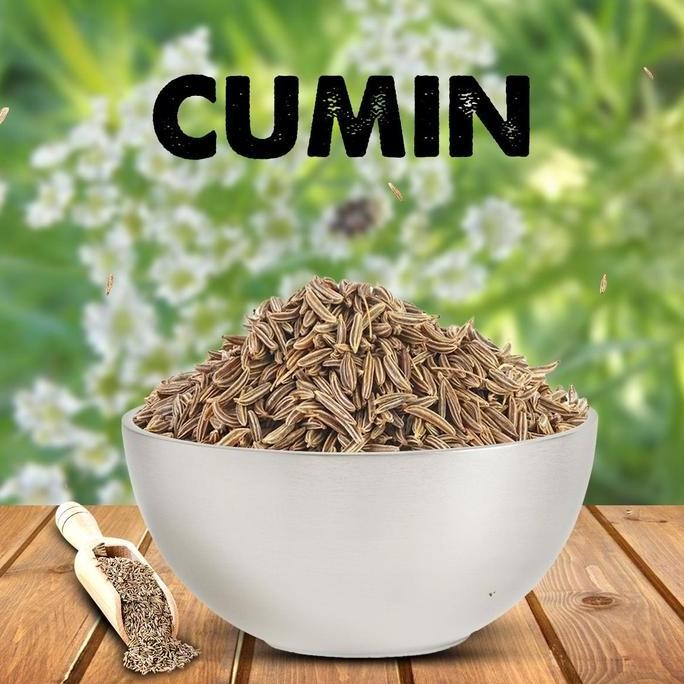 

Termantab] CUMIN SEEDS JEERA 500 GM