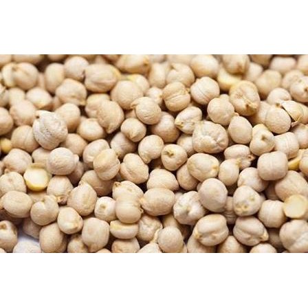 

------] BB WHITE CHICKPEAS 500 GM
