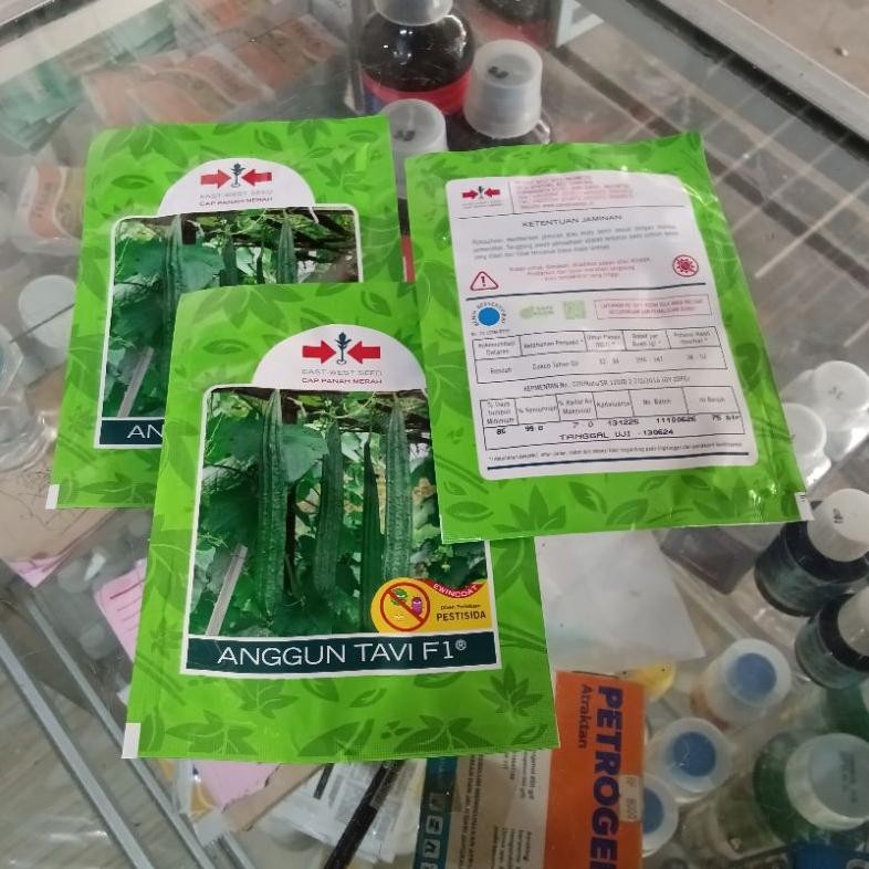 Termurah Benih Bibit Tanaman Sayuran Gambas Oyong Anggun Tavi F1 (Berbobot Panjang Hijau Produksi Ti