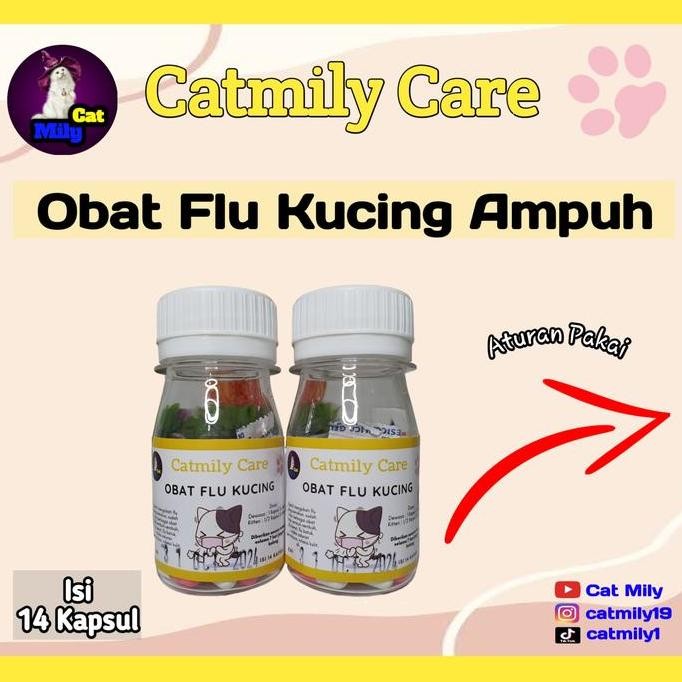 Obat Flu Kucing Ampuh