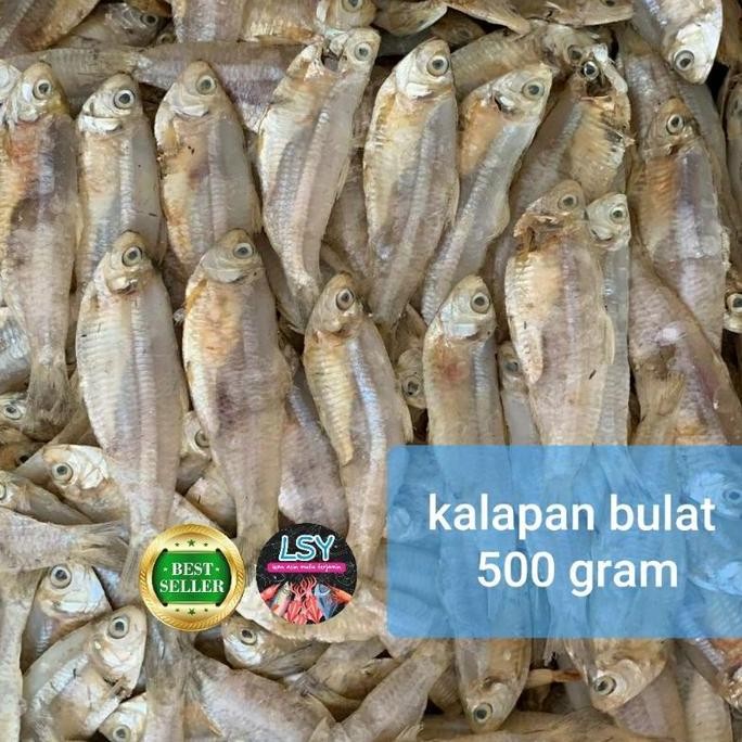 

Ikan Asin Kalapan Bulat 500Gr