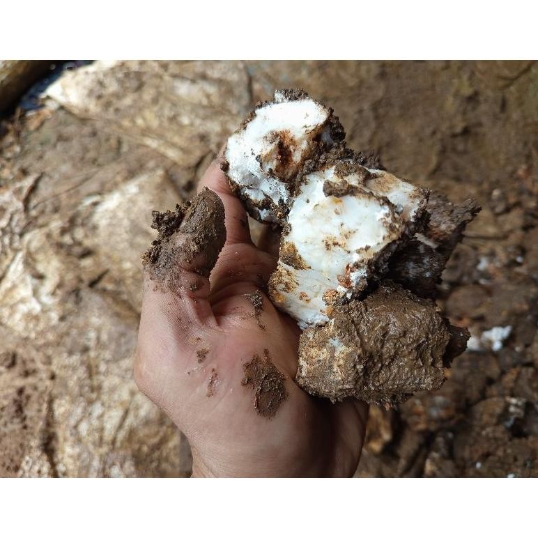 Kuke Batu Kuarsa Al-116