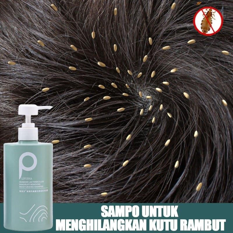 Shampoo Kutu Rambut Shampoo Anti Ketombe Sampo Kutu Sampo Ketombe Shampoo Anti Kutu Shampoo Kutu Ram