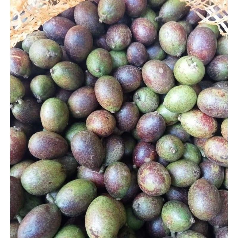 

Cri Buah Matoa Fresh 1Kg Manis Daging Tebal Segar