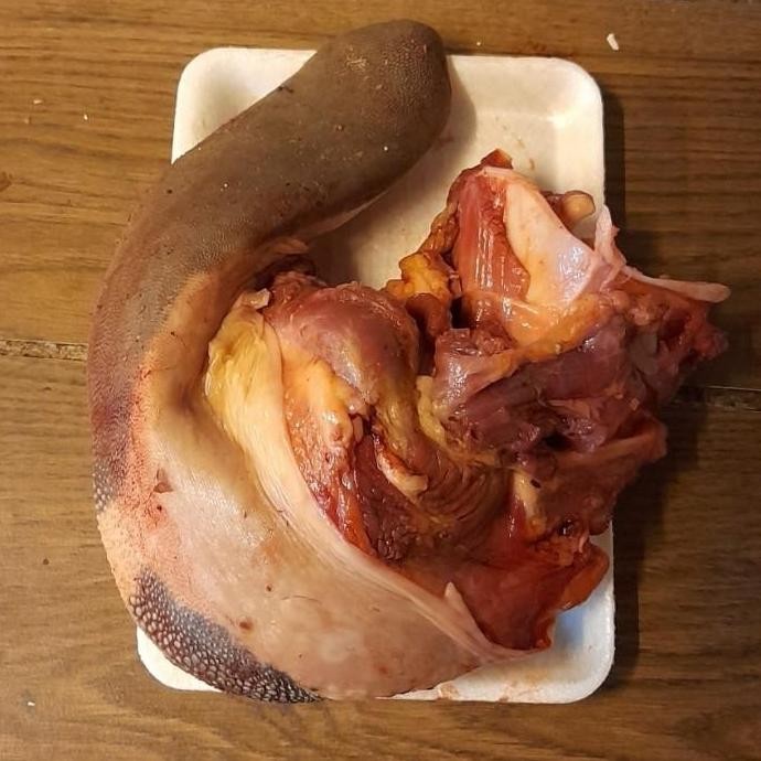 

Lidah Sapi Lokal Dengan Kerongkongan Ox Tongue