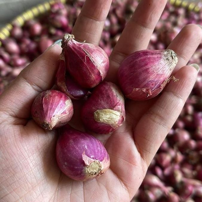 

Bawang Merah 1 Kg