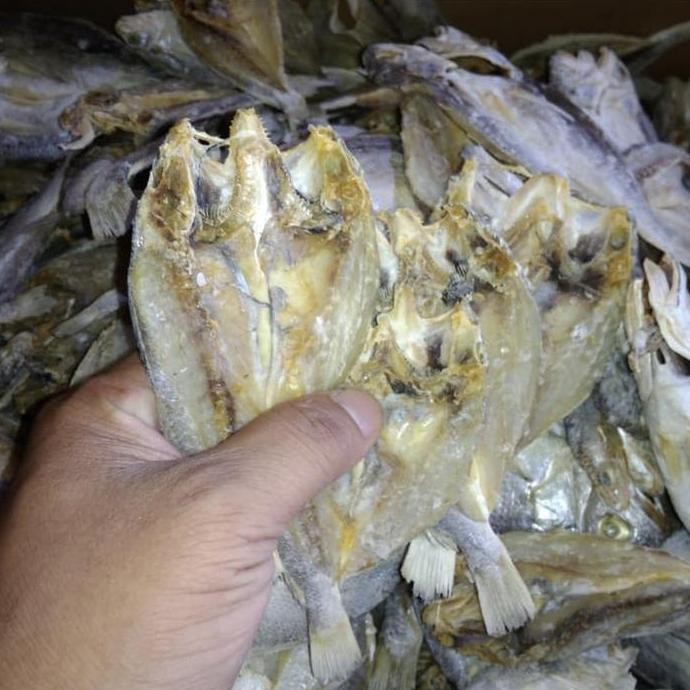 

Ikan Asin Samge Belah 100Gr