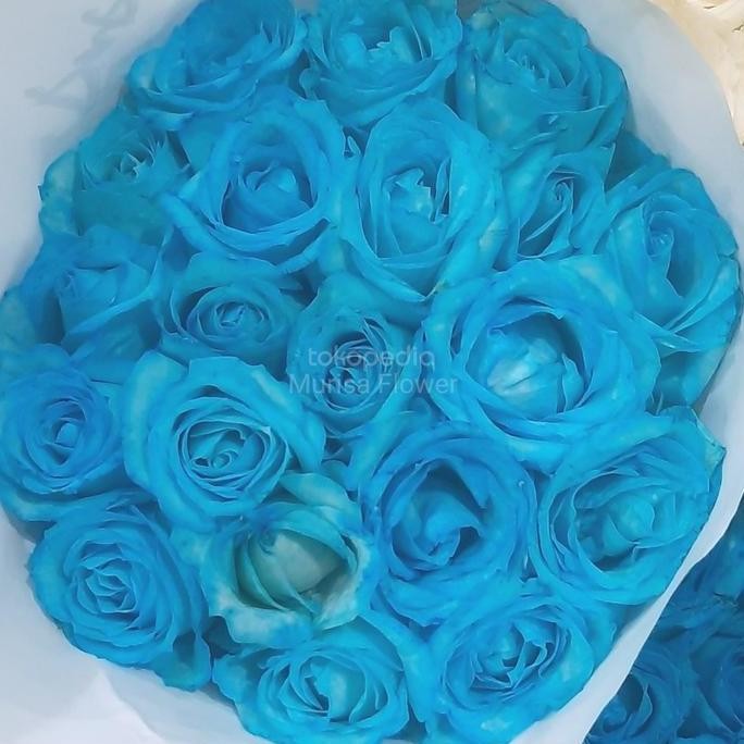 Bunga mawar biru bandung asli segar semi holland per 20 tangkai