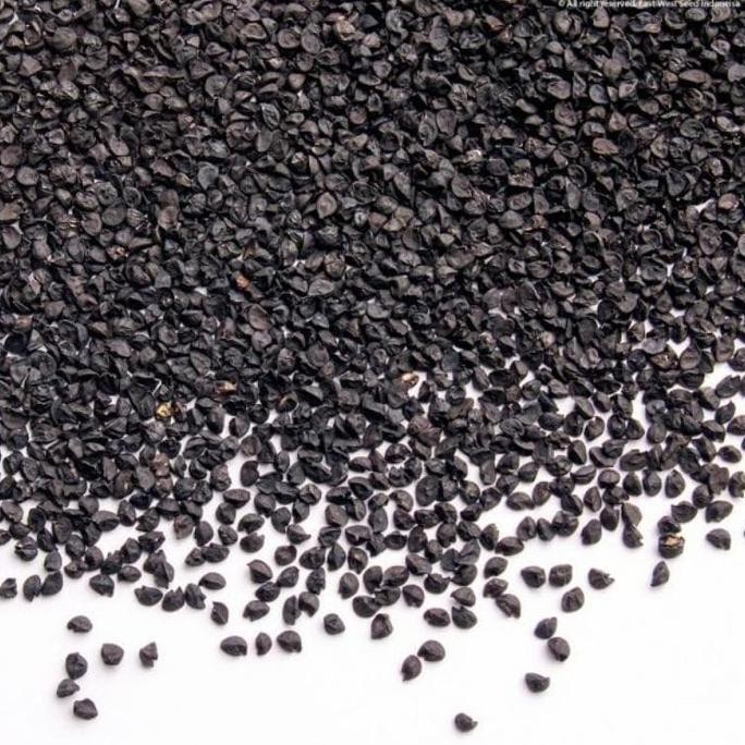 

Terbaru Laris!, Terbaru Benih Bawang Merah - Lokananta - 50 Gr 16.000 Btr - Cap Panah