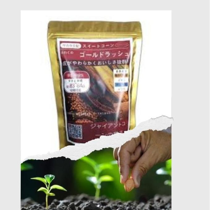 

Jual, 500 Gram Benih Jagung Jepang Raksasa Kemasan Premium