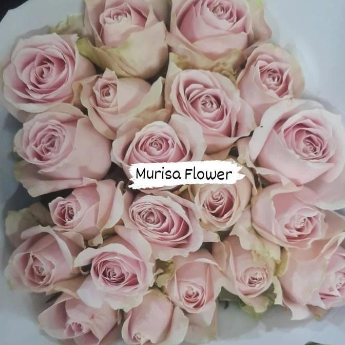 Bunga mawar Bandung asli segar semi holland  Per 20 tangkai Grade B