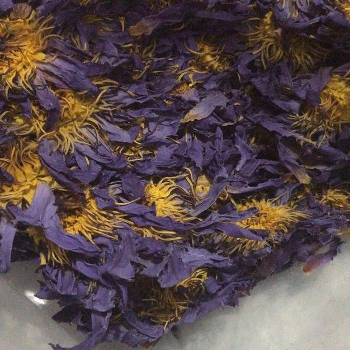 

Blue Lotus Flower 100% Import PREMIUM Kering Asli Garansi Bunga Lotus Biru Anti Anxiety Anti Insomnia Herbal Tea