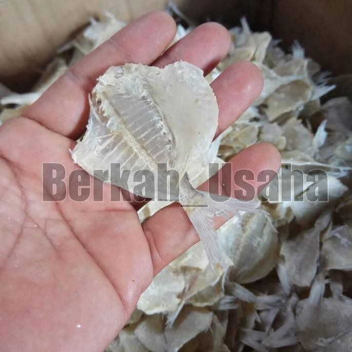 

IKAN ASIN TIPIS PAKANG KAPASAN KERING 500GRAM