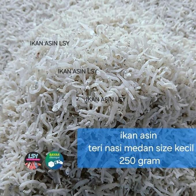 

ikan asin teri nasi medan size kecil 250 gram