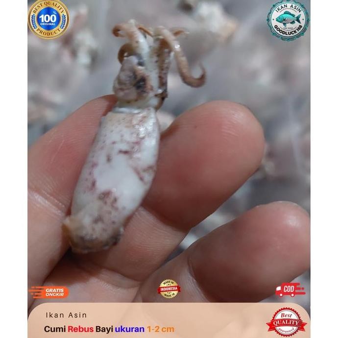 

Ikan Asin Cumi Rebus Beby Super | Cumi Beby | Cumi Baby | Baby Cumi | Cumi Bayi Ukuran 1-2 cm