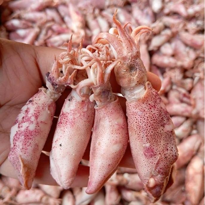 

ikan asin cumi sotong segar kualitas terbaik Food