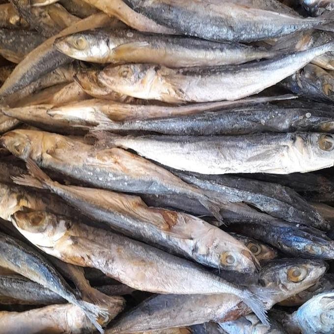 

ikan asin JAPUH 'PEDA LAYANG /1KG ( SATU KILO) Frozen
