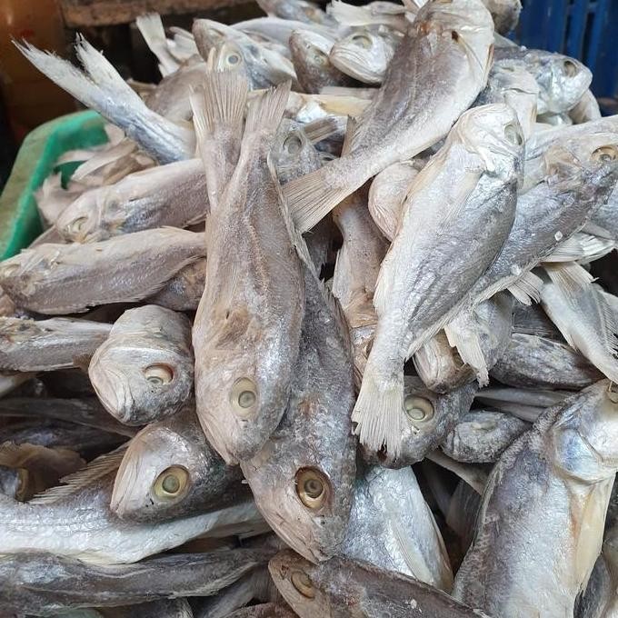 

ikan asin samgge kepala batu 500gram
