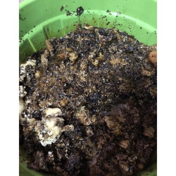

Hot Madu Asli Sumbawa Netto 1Kg Aa-68