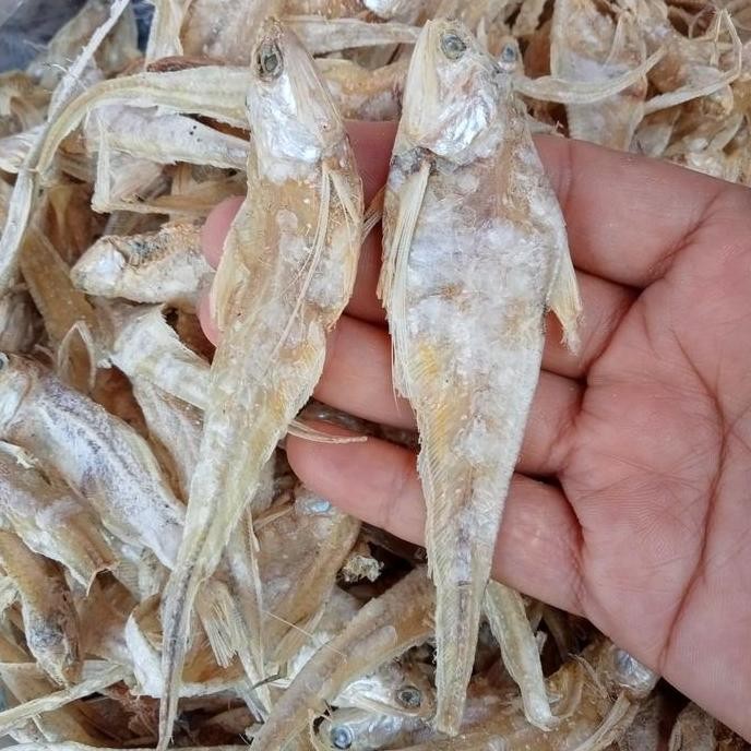 

ikan asin bulu ayam 250g