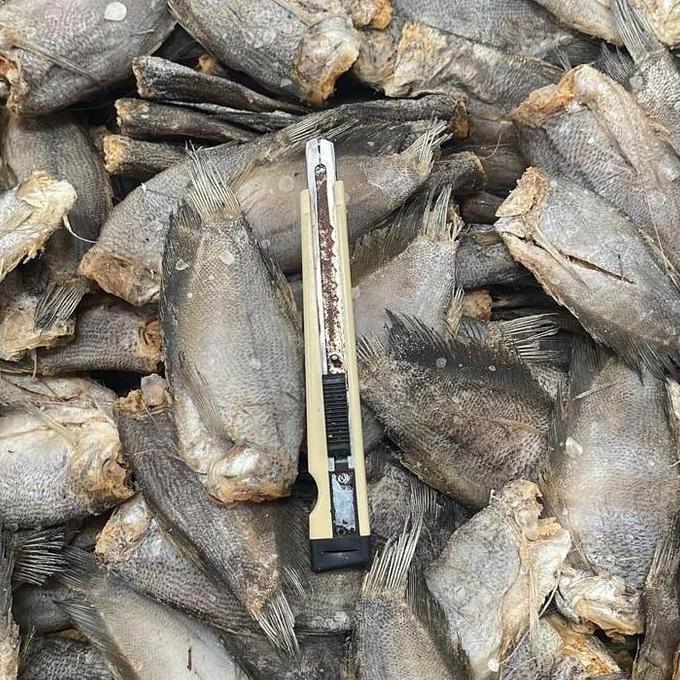 

ikan asin sepat 1 kg