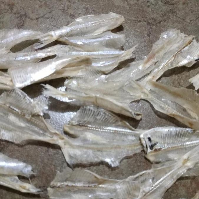 

Pakkang / ikan asin pakkang / ikan asin bulu ayam