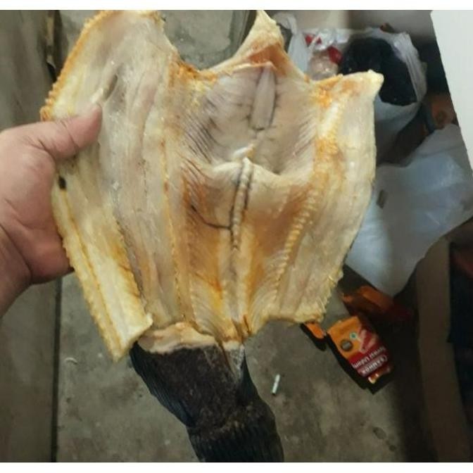 

Ikan Asin GABUS laut 500 gr