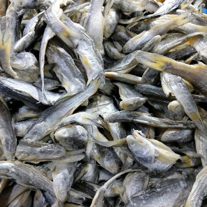 

Ikan Asin senangin 500 gram